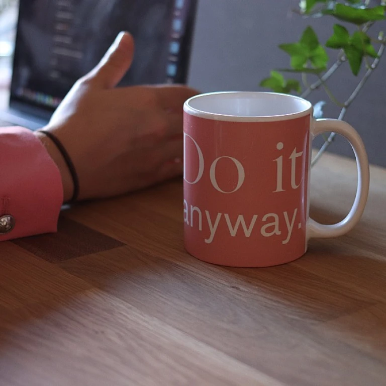 Exploring Careers in Human-Computer Interaction