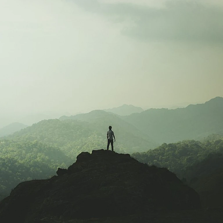 How to Effectively Gather Feedback in the Evolving Workplace